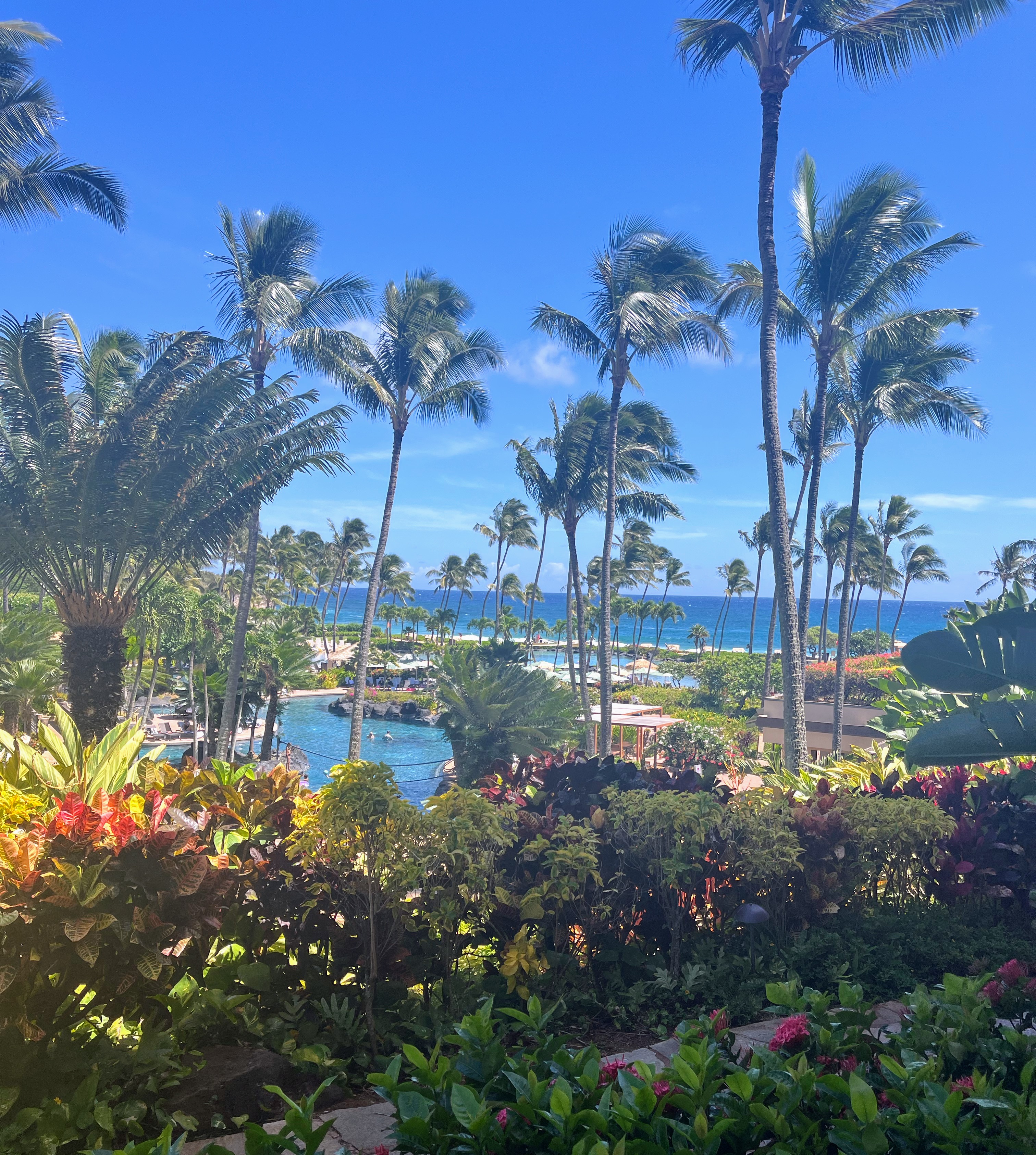 Straight To The Point: Kauai